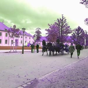 Meet your Posher, Louise